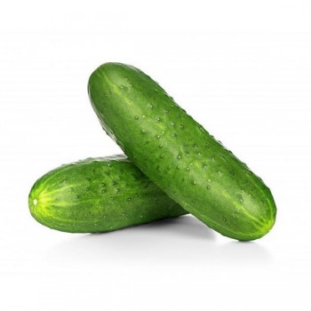 CUCUMBER SELECTED LB