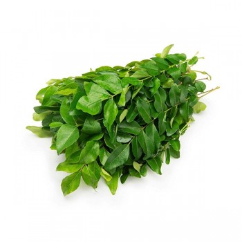 CURRY LEAVES 1ct