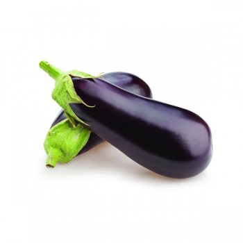 EGGPLANT AMERICAN 1PC