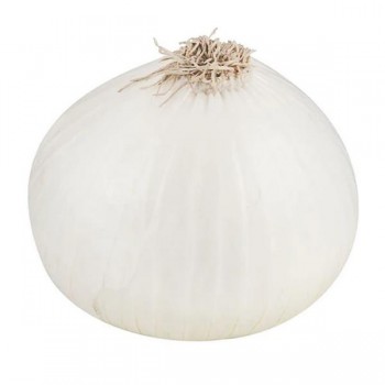 GARLIC SLEEVES 6OZ