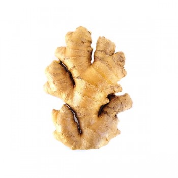 GINGER OGANIC 1LB