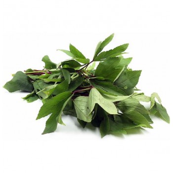 GONGURA LEAF 1 BUNCH