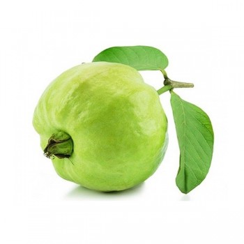 GUAVA 1LB