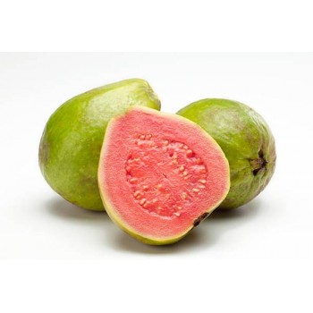 GUAVA BIG/CALIFORNIA GUAVA 1LB