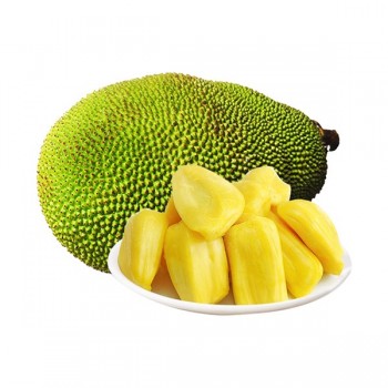 JACKFRUIT WHOLE/CUT1LB