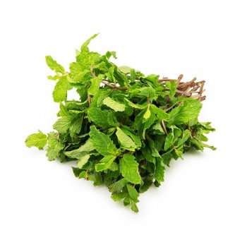 MINT LEAVES 1CT