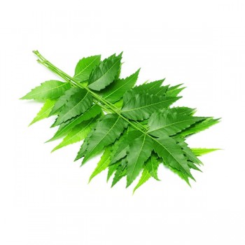 NEEM LEAVES 1 CT