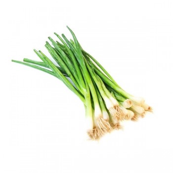 ONION GREEN 1 BUNCH