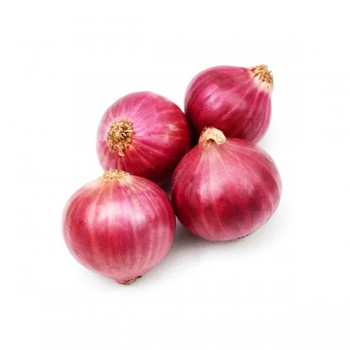 ONION RED 1LB