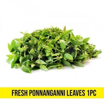 PONNGANI LEAF 1 PC