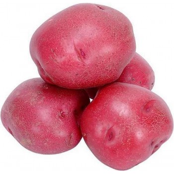 POTATO RED 1LB