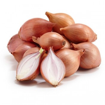 SHALLOT I LB