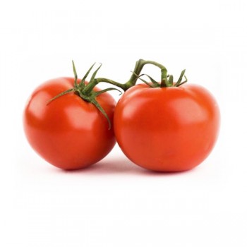 Tomato Regular 1LB