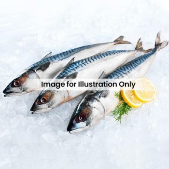 Fresh Fish