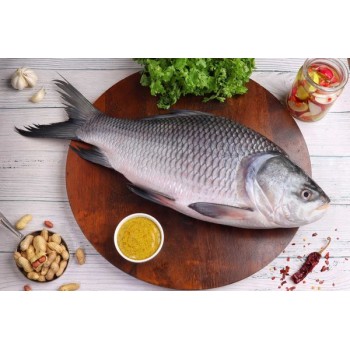 KATLA FISH frozen whole fish