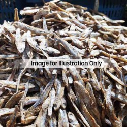 Nn Foods Anchovies Big 2Lb