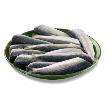 SARDINES/ MATHI